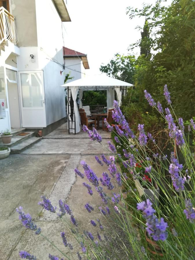 Apartment Lili In Pet Friendly, Free Parking